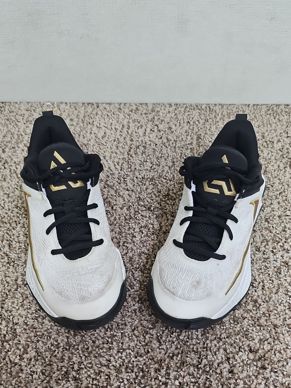 NIKE GIANNIS IMMORTALITY 4 YOUTH SNEAKERS BFPM-06-145